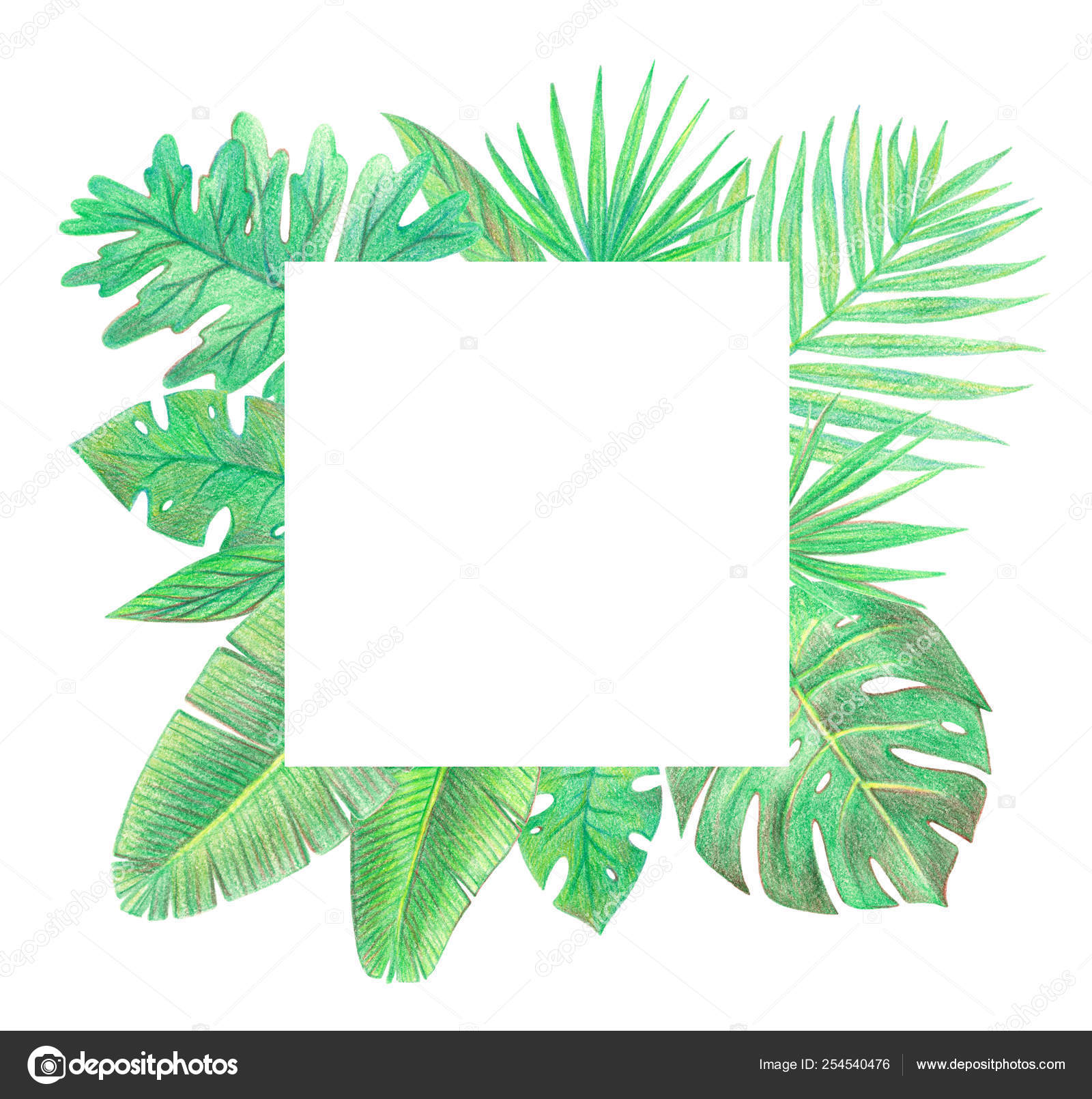 Tropical Exotic Palm Leaves Frame Hand Drawing Colored Pencils Illustration Stock Photo Image By C Alenaganzhela Tropical Exotic Palm Leaves Frame Hand Drawing Colored Pencils Illustration Stock Photo Image By C Alenaganzhela