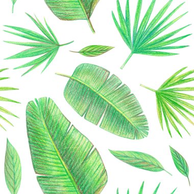 tropik bitkiler çizim ver. Dikişsiz desen palmiye yaprakları