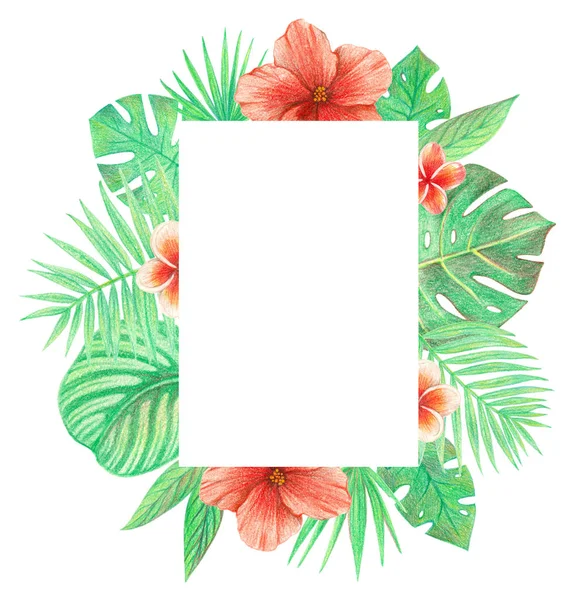 tropical exotic leaves and flowers frame. palm leaves, hibiscus and plumeria. hand drawing colored pencils illustration. isolated elements