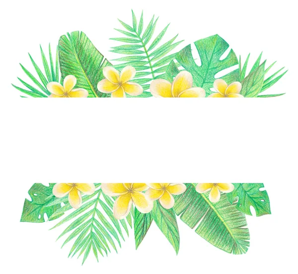 Тропические Экзотические Листья Цветы Пальмовые Листья Плюмерия Ручной Рисунок Цветных — стоковое фото