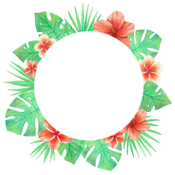 tropical exotic leaves and flowers circle frame. palm leaves, hibiscus and plumeria. hand drawing colored pencils illustration. isolated elements