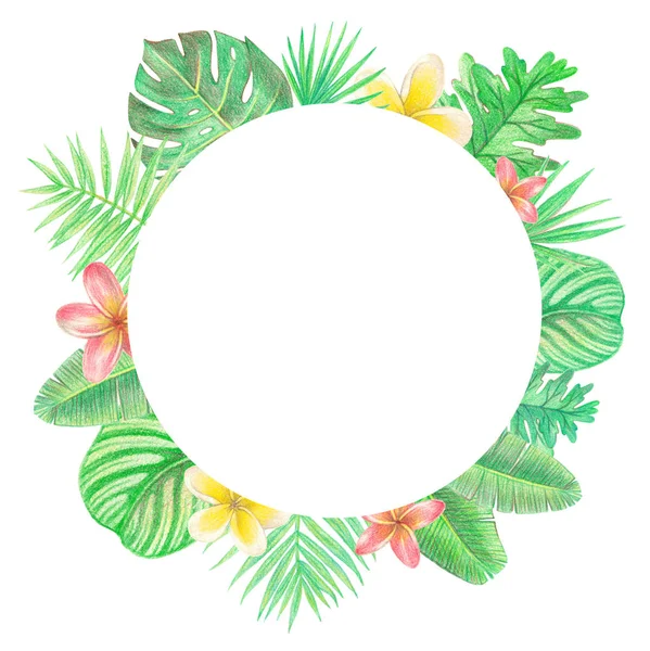 tropical exotic leaves and flowers circle frame. palm leaves and plumeria. hand drawing colored pencils illustration. isolated elements