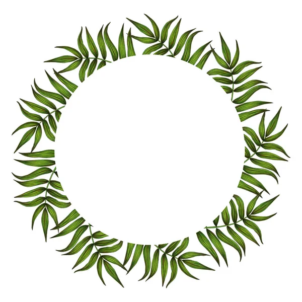 Tropical Palm Leaves Green Wreath Circle Frame Isolated Element — Stock Photo, Image