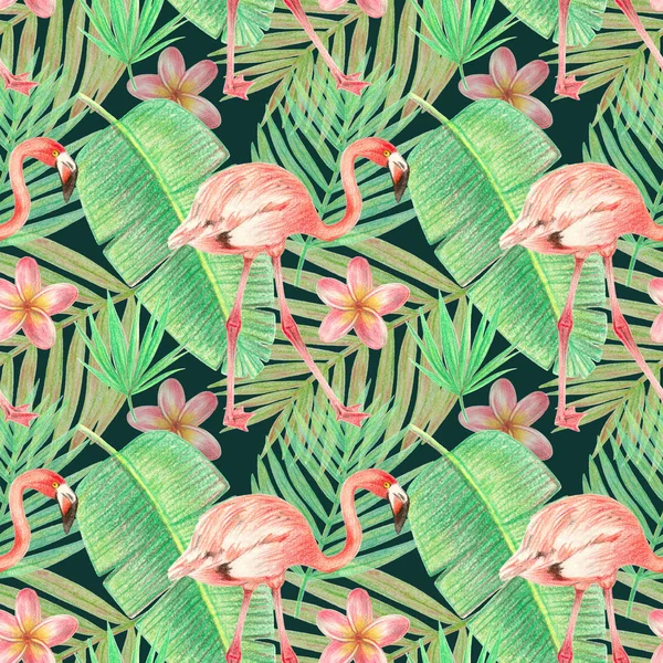 hand drawing tropical plants, flowers and birds. flamingo in the tropics. seamless pattern on a dark green background