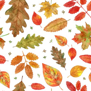 suluboya sonbahar yaprak sonbahar. Beyaz arka planda Dikişsiz desen el boyama.
