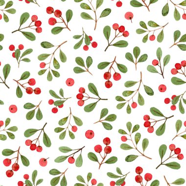 suluboya kış bitkiler, Noel ökseotu dalları. beyaz bir arka planda Dikişsiz desen. kumaş, hediye kağıdı sarma, tebrik kartı.