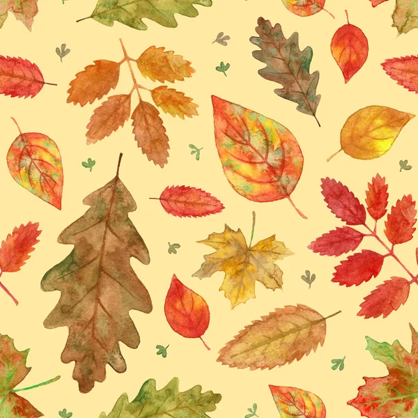Akwarela Jesień Liści Jesienią Malowanie Rąk Bez Szwu Żółtym Tle — Zdjęcie stockowe