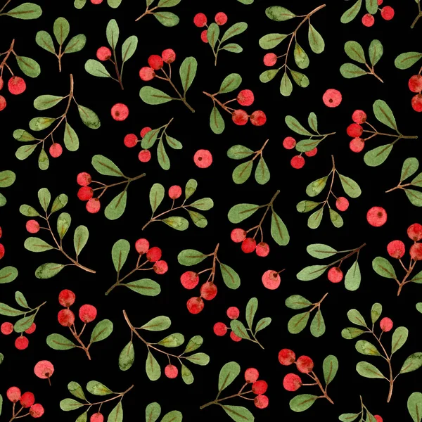 Χειμερινά Φυτά Χριστουγεννιάτικα Κλαδιά Γκι Ενιαίο Μοτίβο Μαύρο Φόντο Ύφασμα — Φωτογραφία Αρχείου