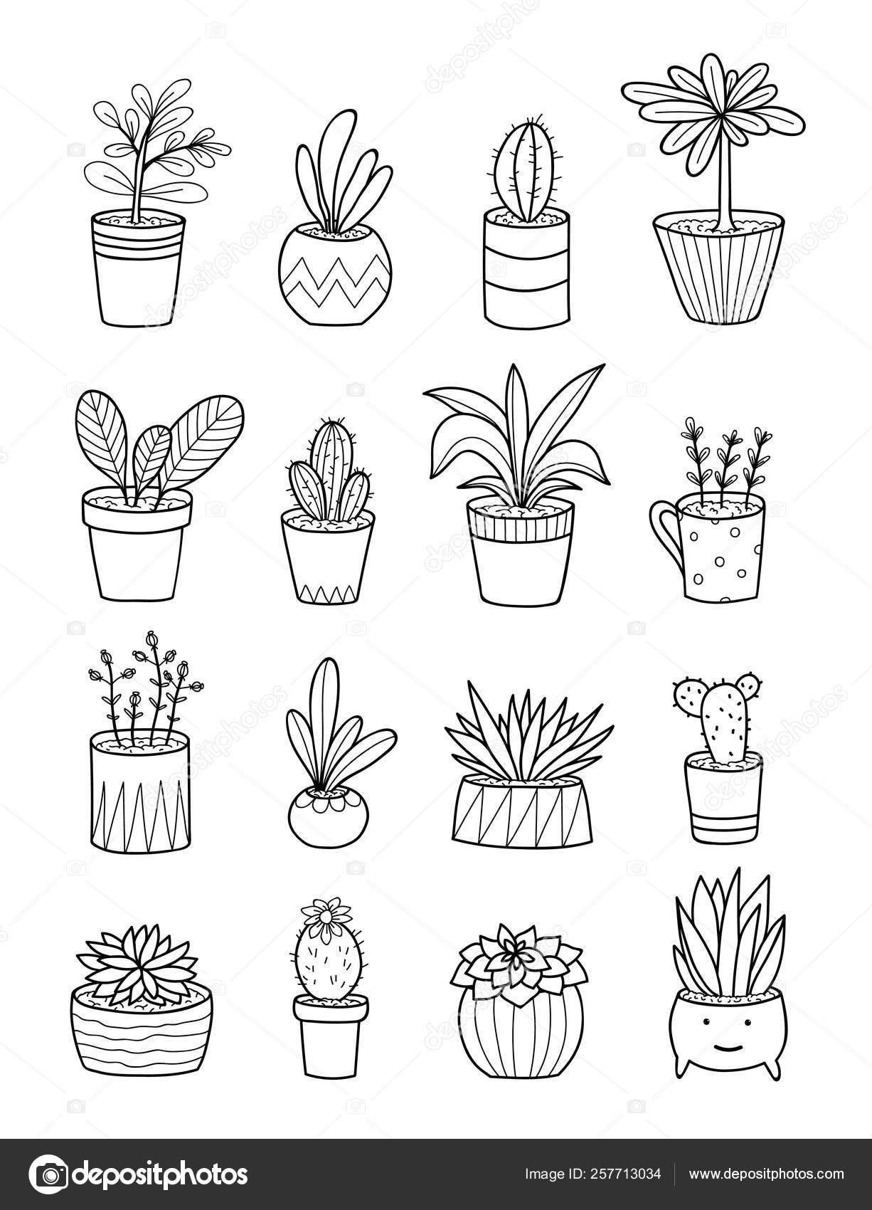 Kantine Christchurch frokost Hand Drawing Home Plants Pots Cartoon Doodles Isolated Elements Stock  Illustration by ©alenaganzhela #257713034