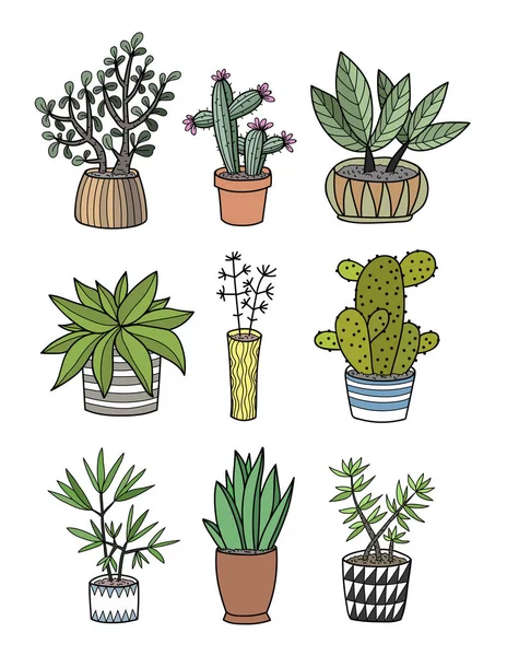 Plantas Dibujo Mano Macetas Garabatos Animados Elementos Aislados — Archivo Imágenes Vectoriales