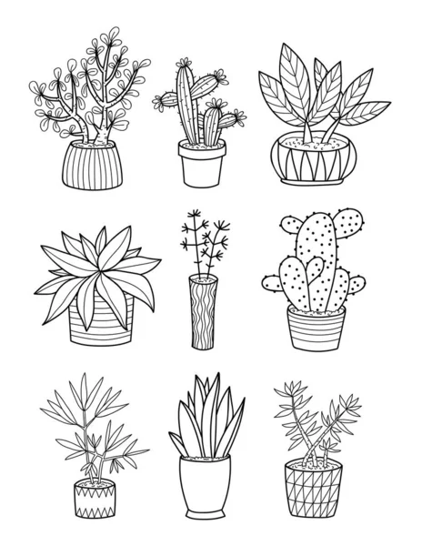 Plantas Dibujo Mano Macetas Garabatos Animados Elementos Aislados — Archivo Imágenes Vectoriales