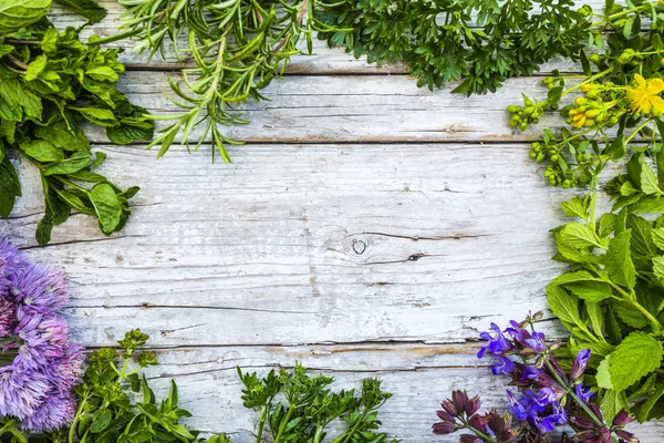 Frame with freshly cut herbs on a rustic wooden background.