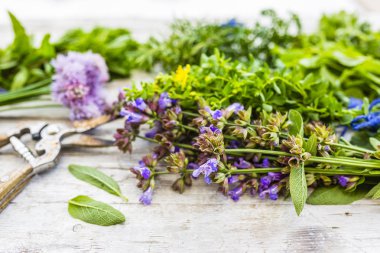 Ahşap rustik masa üzerinde taze ve aromatik otlar.