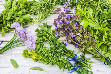 Ahşap rustik masa üzerinde taze ve aromatik otlar. 