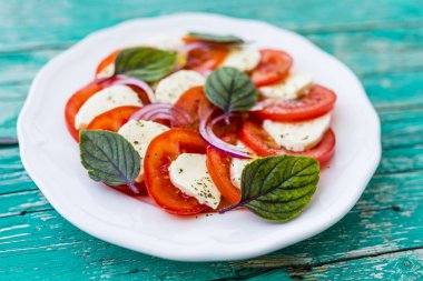 Domatesli İtalyan Caprese salatası ve mozzarella..