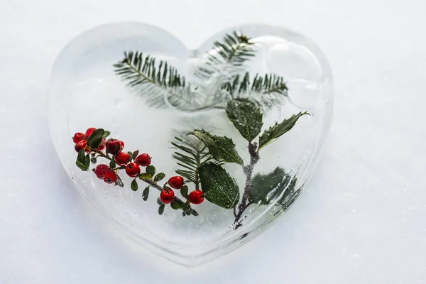 Jardin Hiver Décoration Glace Pour Les Vacances — Photo