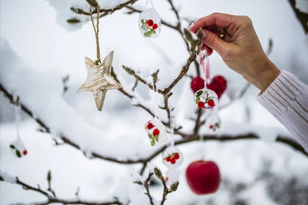 冬の庭 休日の氷の装飾 — ストック写真