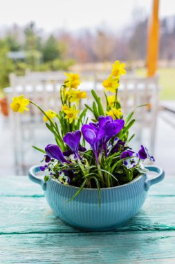 Bir bahçe masaya bahar çiçek dekorasyonu. 