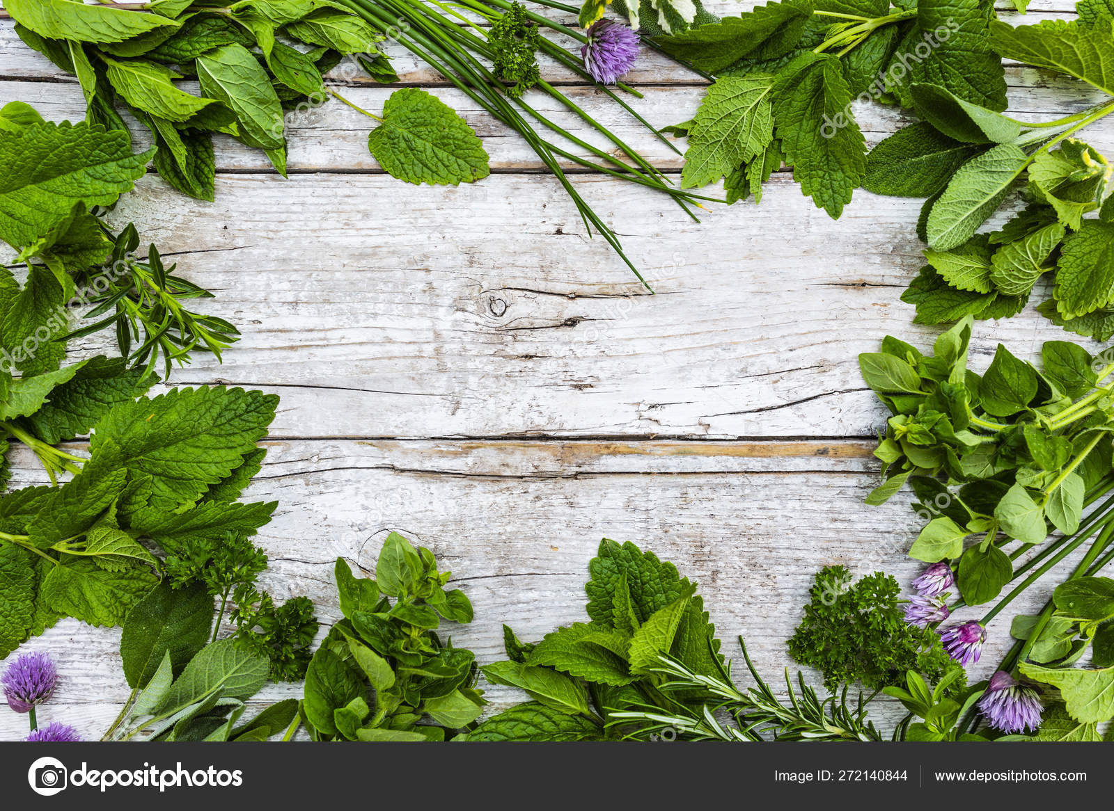 ハーブ写真素材 ロイヤリティフリーハーブ画像 Depositphotos