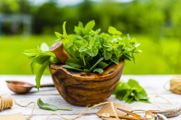 Tahta bir havanda taze ve aromatik bitkiler..