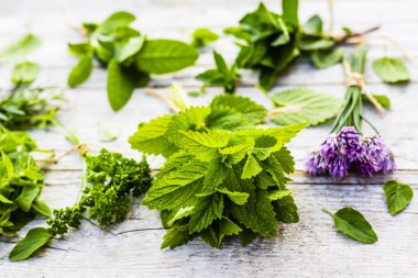 Kurutmak için taze bitkiler..