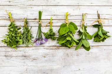 Kurutmak için taze bitkiler..