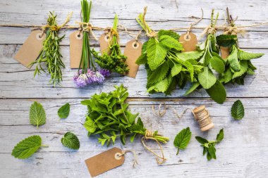 Kurutmak için taze bitkiler..