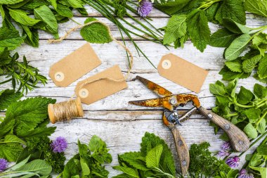 Ahşap bir arka planda taze ve aromatik otlarla çerçevelenmiş..