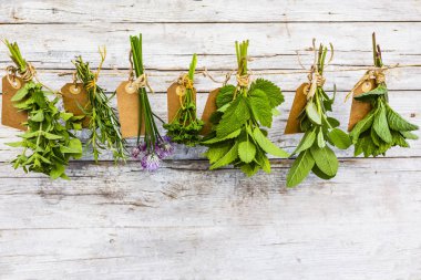 Kurutmak için taze bitkiler..