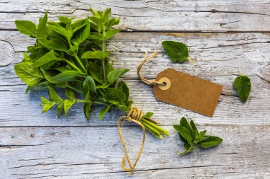 Kurutmak için taze bitkiler..