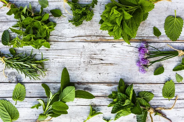 Kurutma için hazırlanan taze otlardan çerçeve.