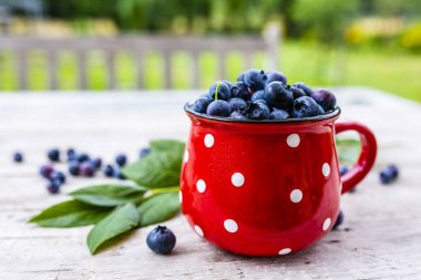 Bahçede bir masada bir fincan taze olgun yaban mersini aldı. 