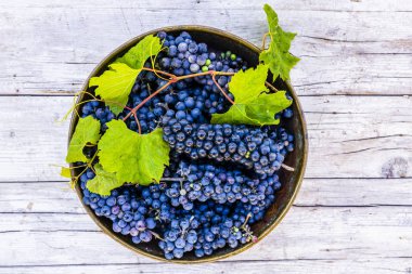 Bir vintage plaka üzerinde Olgun üzüm.