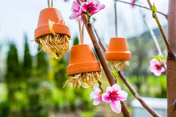 House for wild bees and insects useful for the garden. DIY. — Stock Image House Wild Bees Insects Useful Garden Diy Stock Photo