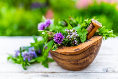 Tahta havanda taze bitkiler..