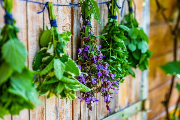 Fresh herbs prepared for drying.