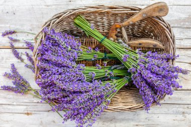 Lavender flowers in a basket on a wooden background. clipart