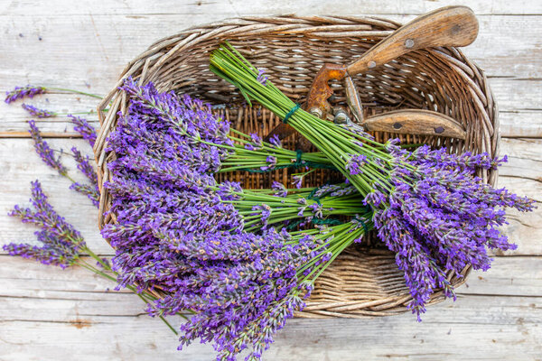 Lavender flowers in a basket on a wooden background.