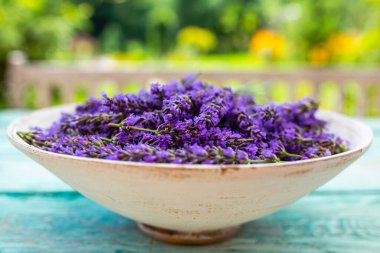 Bahçe masasında taze kesilmiş lavanta.