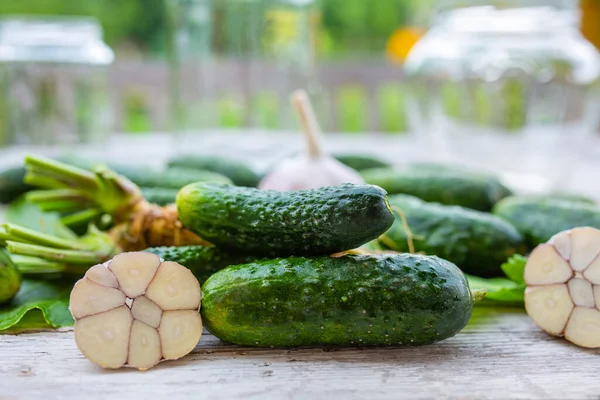 Fresh Ingredients Green Cucumber Preserves — Stock Photo, Image