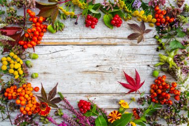 Ahşap arka planda sonbahar yaprakları. Metin için alanı olan çerçeve.