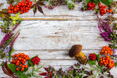 Metin için alanı olan sonbahar çerçevesi.