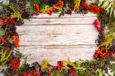 Ahşap arka planda sonbahar yaprakları. Metin için alanı olan sonbahar dekorasyonu ile çerçeve.