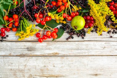 Sonbahar yaprakları, ahşap arka planda meyveler. Metin için boşluk ile kenarlık.
