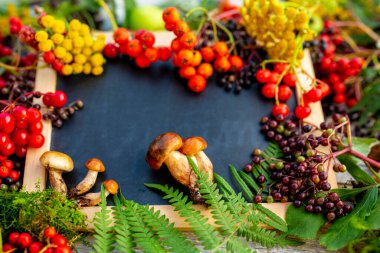 Ahşap arka planda sonbahar yaprakları. Metin için alanı olan sonbahar dekorasyonu ile çerçeve.