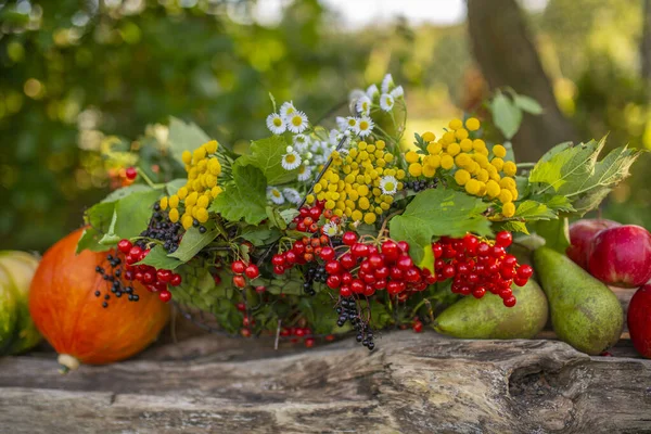 秋天的收获在花园里的桌子上 秋天静谧生命 — 图库照片