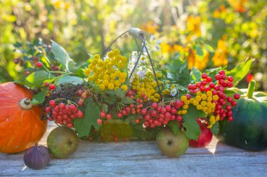 Bahçedeki masada sonbahar hasadı. Sonbahar sakin bir hayat.