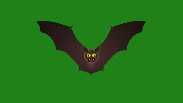 Bat Létání Cyklických Animace Zeleném Pozadí — Stock video