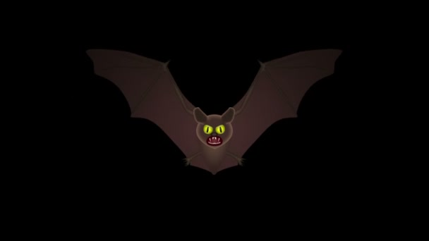 Chauve Souris Volant Animation Boucle Sur Fond Noir — Video