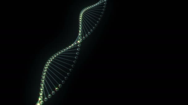 Dna 分子在黑色背景上 循环3D — 图库视频影像